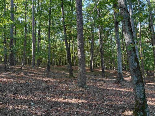 12 Southridge Drive, Mount Ida, AR, 71957 | Card Image