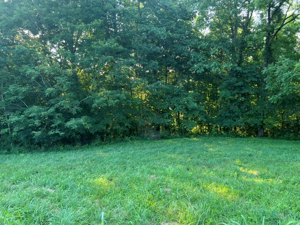 Land in Byrdstown