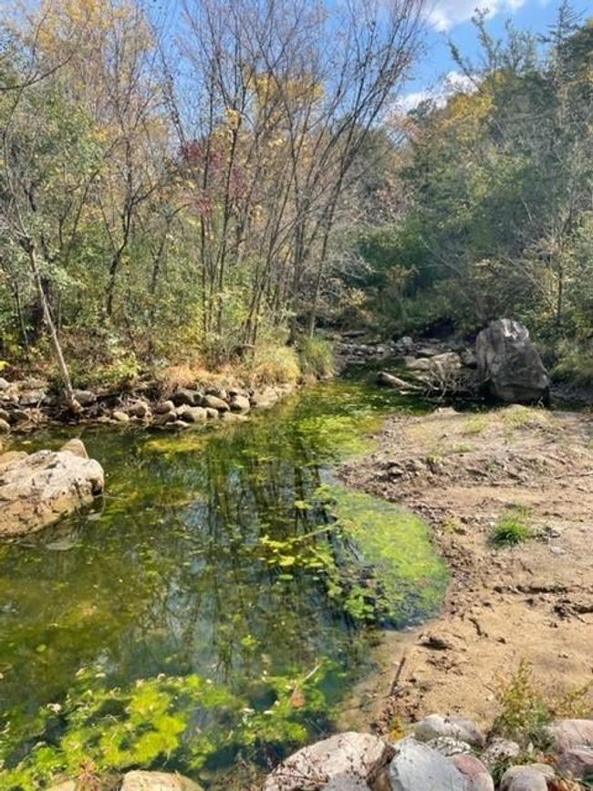Creek | Image 37