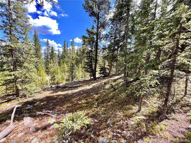 676 Dry Gulch Rd, Home with 0 bedrooms, 0 bathrooms and null parking in Fairplay CO | Image 19