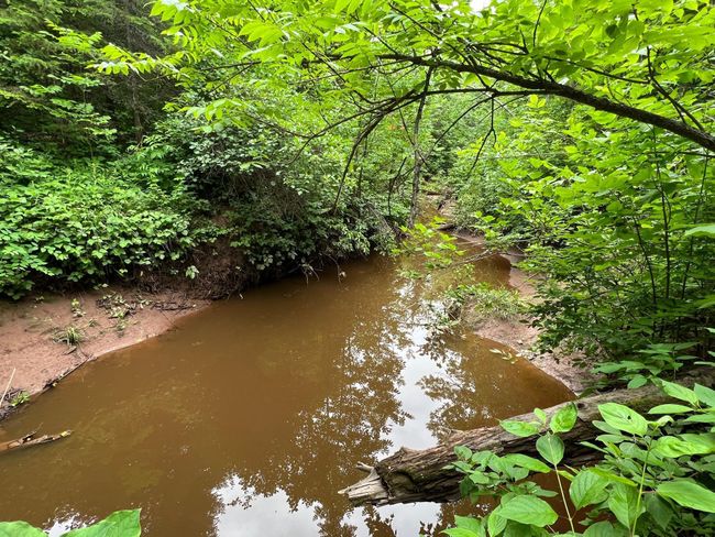 Sand River | Image 25