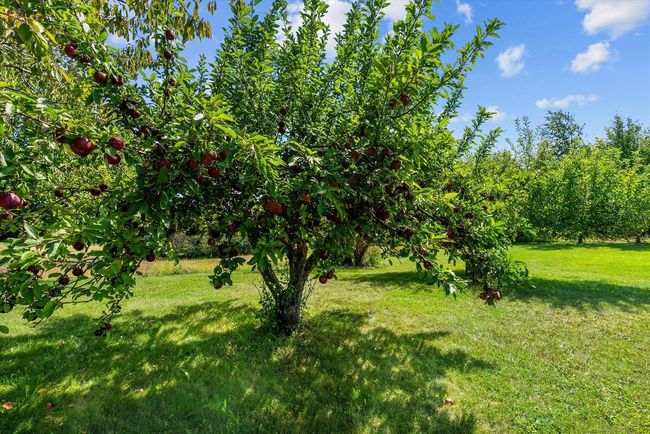 8615 Pigeon Lake Road, House other with 3 bedrooms, 2 bathrooms and null parking in Liberty WI | Image 41