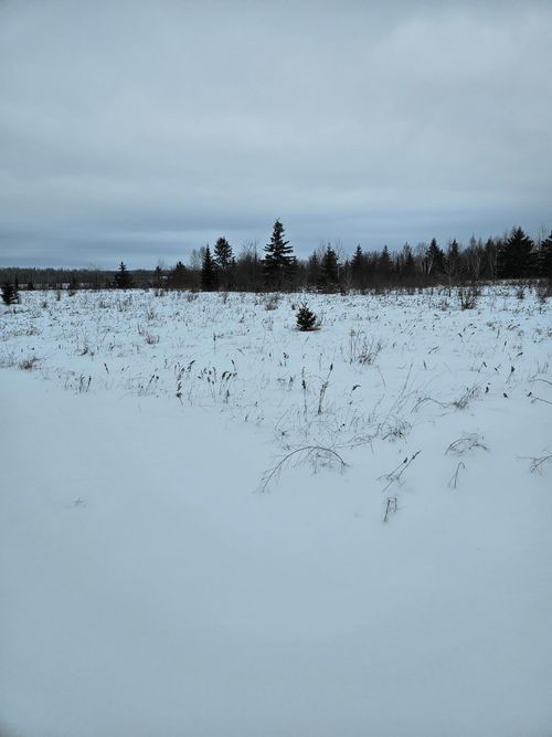 tbd Tbd, Birchdale, MN, 56629 | Card Image