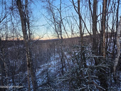 36868 S Malaspina Loop, Talkeetna, AK, 99676 | Card Image