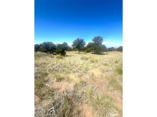 4469 Greenview Ct, Crestone, CO, 81131 | Card Image