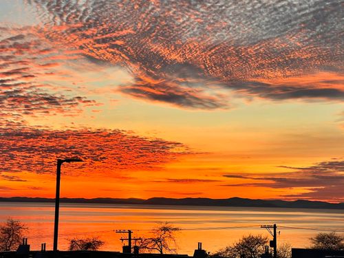 {{alt}} | Card Image