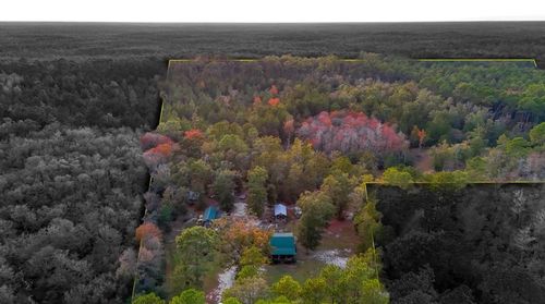 38134 Sw Forest Road 123, BRISTOL, FL, 32321-5100 | Card Image