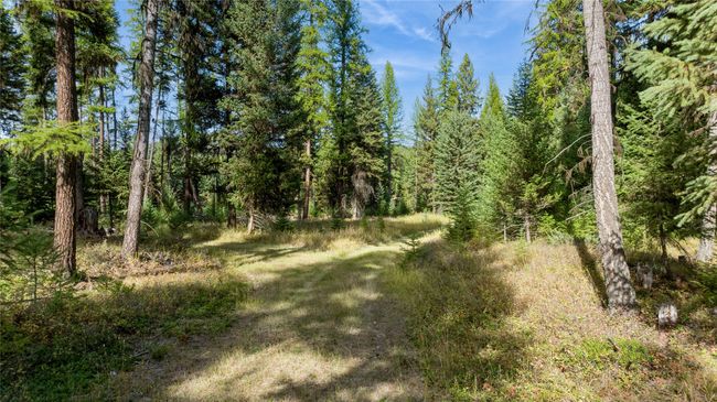 3217 Loon Lake Rd, Home with 0 bedrooms, 0 bathrooms and null parking in Trego MT | Image 34