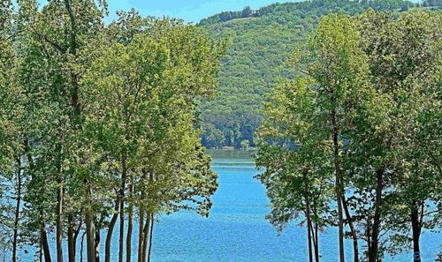 2042 Lookout Mountain Dr, Scottsboro, AL, 35769-7968 | Card Image
