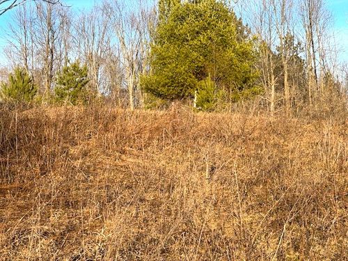 Lot 6 Thorn Apple Dr, Wittenberg, WI, 54499 | Card Image