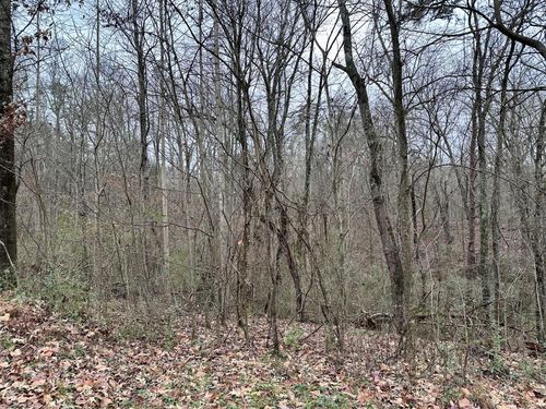 310 Brumlow Hollow Rd, Soddy Daisy, TN, 37379-6402 | Card Image