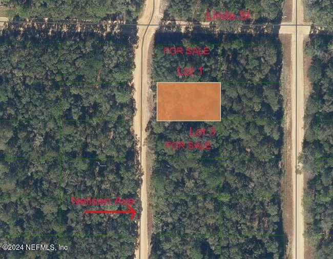 LOT 2 Neilsen Avenue, Home with 0 bedrooms, 0 bathrooms and null parking in Interlachen FL | Image 6