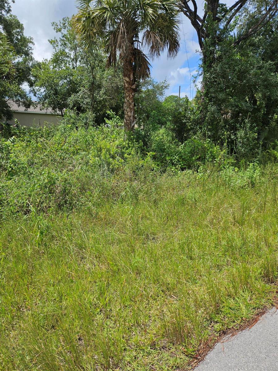 Land in Palm Bay 3