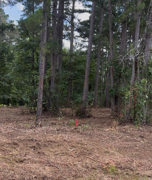 Lynch Rd. Lot#7 Lynch Dr, Clinton, AR, 72031 | Card Image