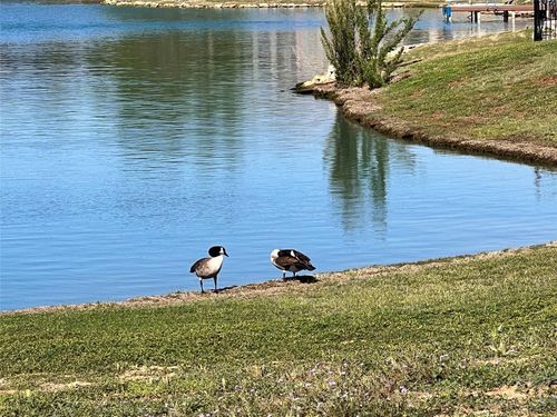 4012 Upper Lake Cir, Granbury, TX, 76049-5004 | Card Image