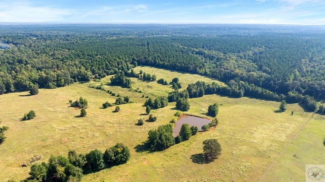 174-178 Pr 1034, Home with 3 bedrooms, 2 bathrooms and null parking in Doddridge AR | Image 10