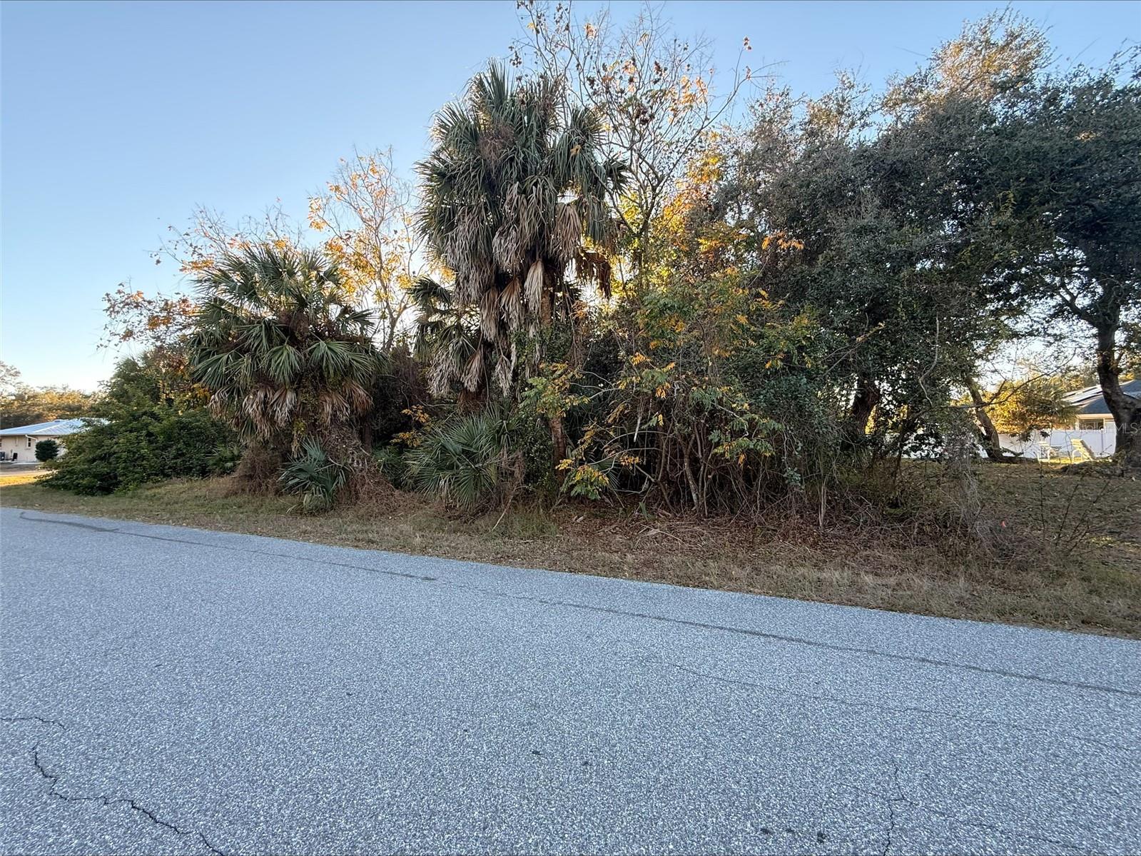 Land in PORT CHARLOTTE 5