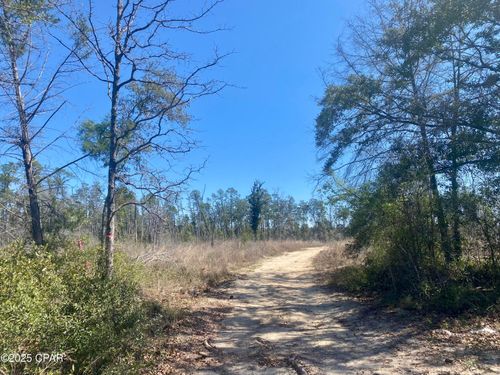 50 Nw Sellers Road, Bristol, FL, 32321 | Card Image