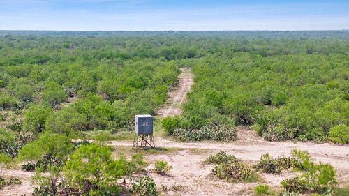 000 State Highway 16, Zapata, TX, 78076 | Card Image