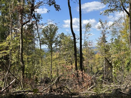 Lot 4 Crane School Road, Terra Alta, WV, 26764 | Card Image