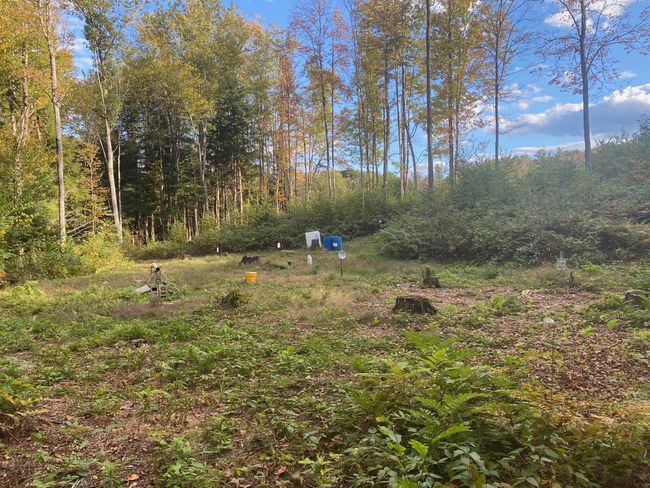 1457 Rockingham Rd, House other with 4 bedrooms, 1 bathrooms and null parking in Bellows Falls VT | Image 16