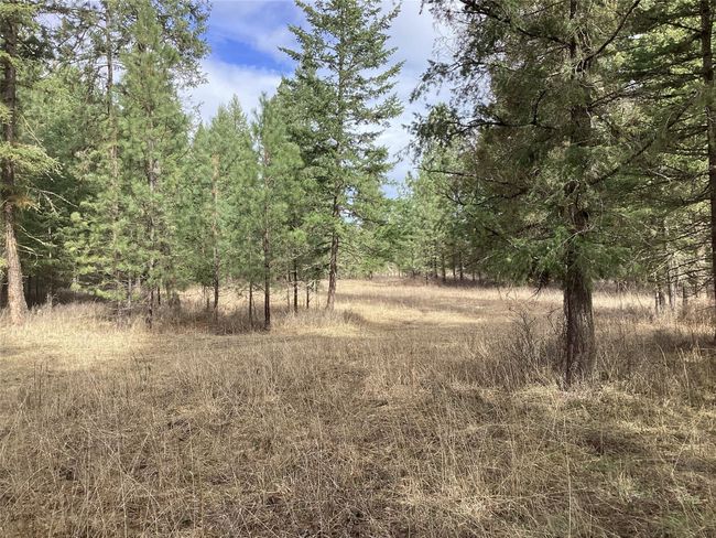 1 Eagle Pass Road, Home with 0 bedrooms, 0 bathrooms and null parking in Charlo MT | Image 28