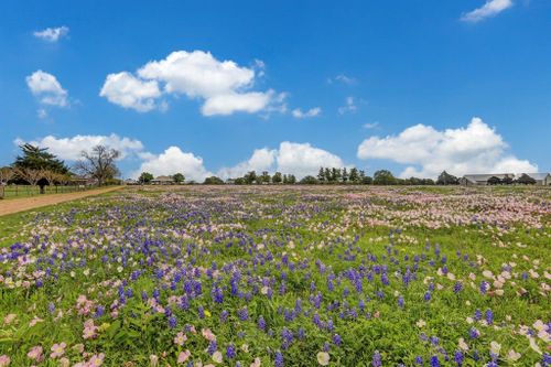 400 E Mill Street, Round Top, TX, 78954 | Card Image