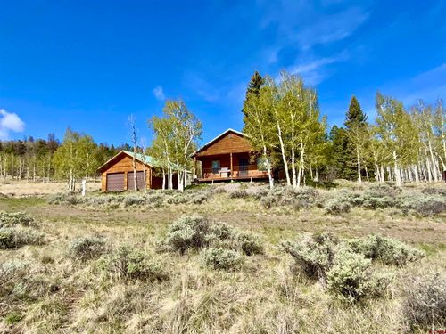 1019 Uncompahgre Dr, Powderhorn, CO, 81243-9554 | Card Image
