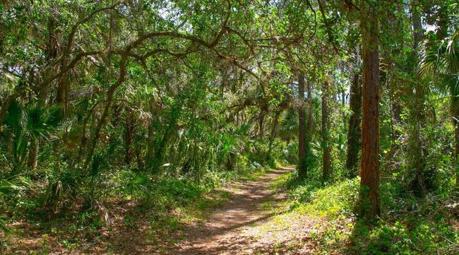 21 - 5217 Wedgewood Ln, Condo with 2 bedrooms, 2 bathrooms and null parking in SARASOTA FL | Image 32