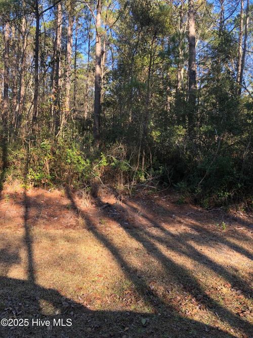0000 Hwy 210/ Empie N Sidbury Rd, Hampstead, NC, 28443 | Card Image