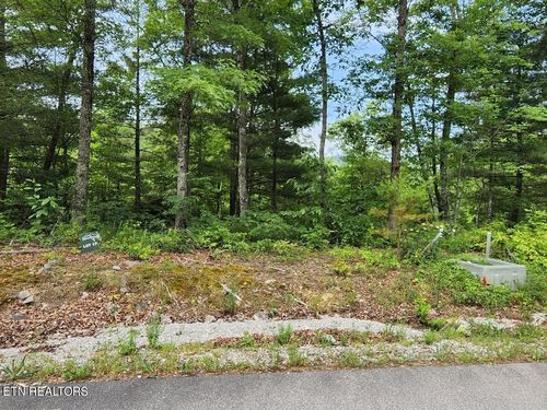 441 Hawken Dr, Walland, TN, 37886 | Card Image