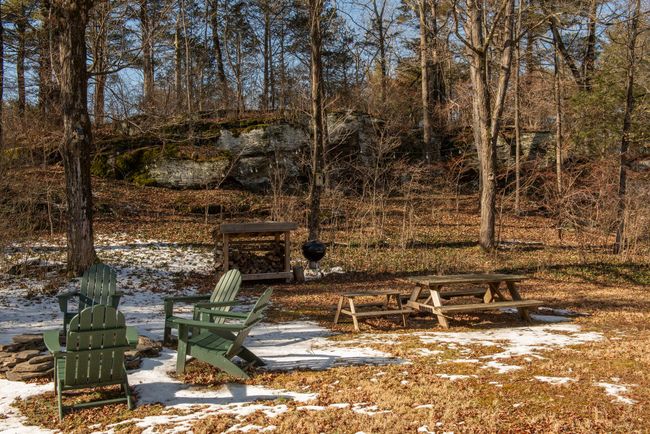 View of yard | Image 22
