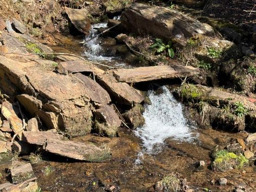 Lot 5 Wild Laurel, Brasstown, NC, 28902 | Card Image