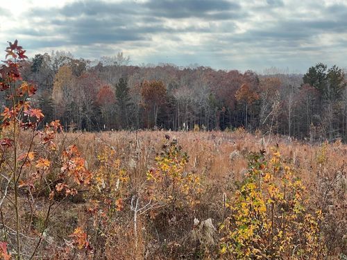 TRACT 4 Old State Hwy 69 Hwy, Sugar Tree, TN, 38380 | Card Image