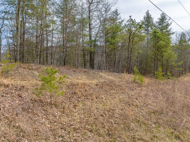 Lot12/14 Lake Forest Lane, Home with 0 bedrooms, 0 bathrooms and null parking in Bland VA | Image 26