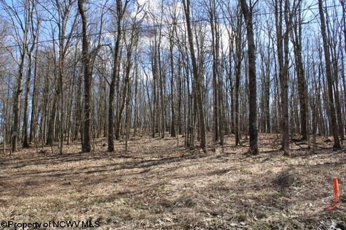 Lot 6 Sand Bank Heights Road, Masontown, WV, 26542 | Card Image