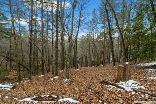 LOT 5 Curtis Rdg, Blue Ridge, GA, 30513 | Card Image