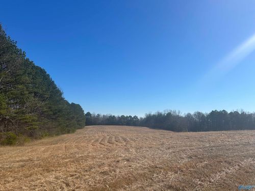 25 Acres Winding Brook Drive, Guntersville, AL, 35976 | Card Image