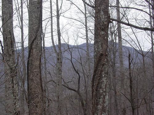 #17 Roaring Ridge, Hiawassee, GA, 30546 | Card Image