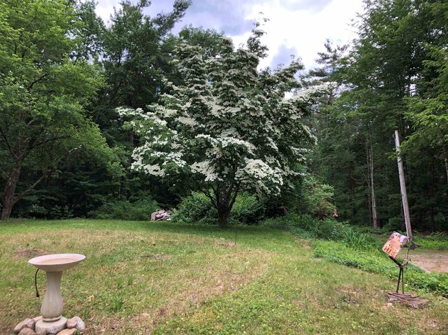 540 Forest Rd, House other with 3 bedrooms, 3 bathrooms and null parking in Lyndeborough NH | Image 4