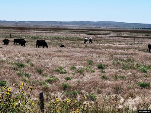 Highway 85 State Road, Lingle, WY, 82223 | Card Image