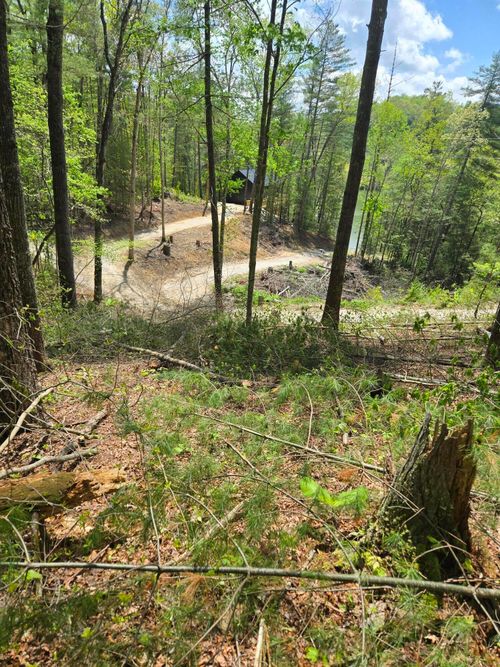 000 Wolfe Lake Rd Road, Campton, KY, 41301 | Card Image