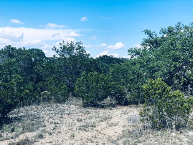 View of lot | Image 8