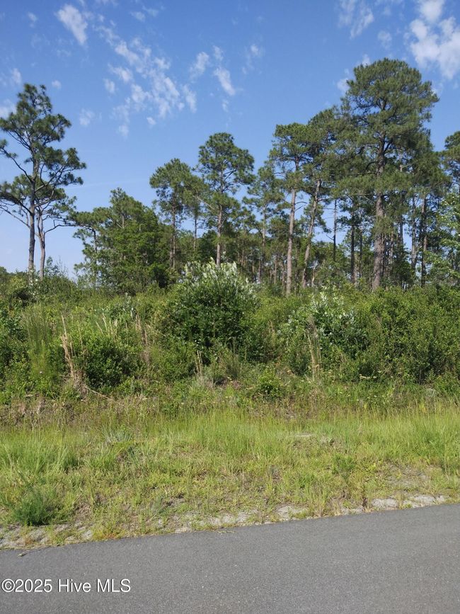 LOT ON CORNER OF FOX SQUIRREL AND WESTWAY RD | Image 6