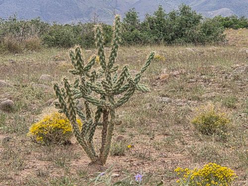 VL Willow Springs Ranch Lot 2-6, San Antonio, NM, 87832 | Card Image