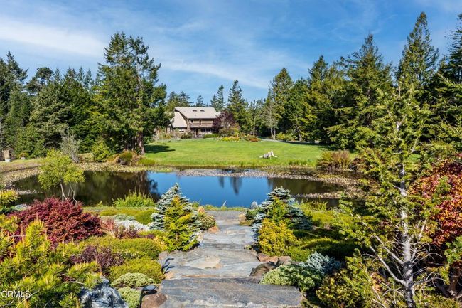 Pond | Image 24