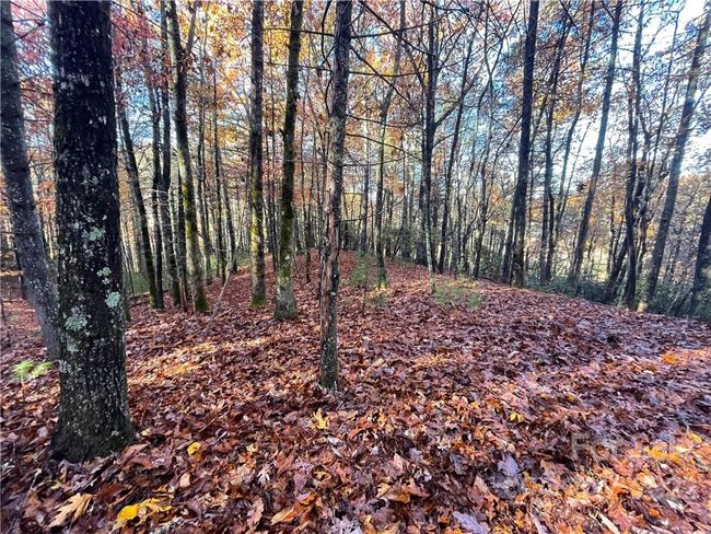 4 - 9999 Sassafras Ln, Home with 0 bedrooms, 0 bathrooms and null parking in Cedar Mountain NC | Image 12