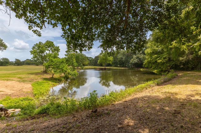 Tranquil pond nestled amidst lush greenery, offering a serene retreat right in your backyard. Walking paths so you can explore the area. | Image 42