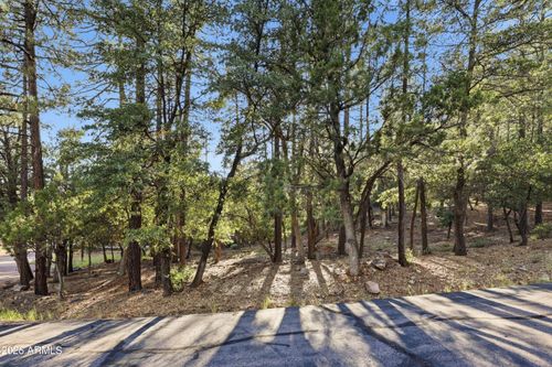 98-98 N Trails End Drive, Pine, AZ, 85544 | Card Image