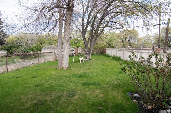 View of yard | Image 38